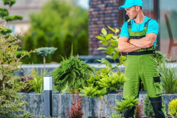 Landscaping Estimating Services