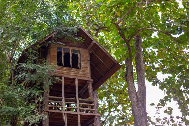 Tree House Estimating Services